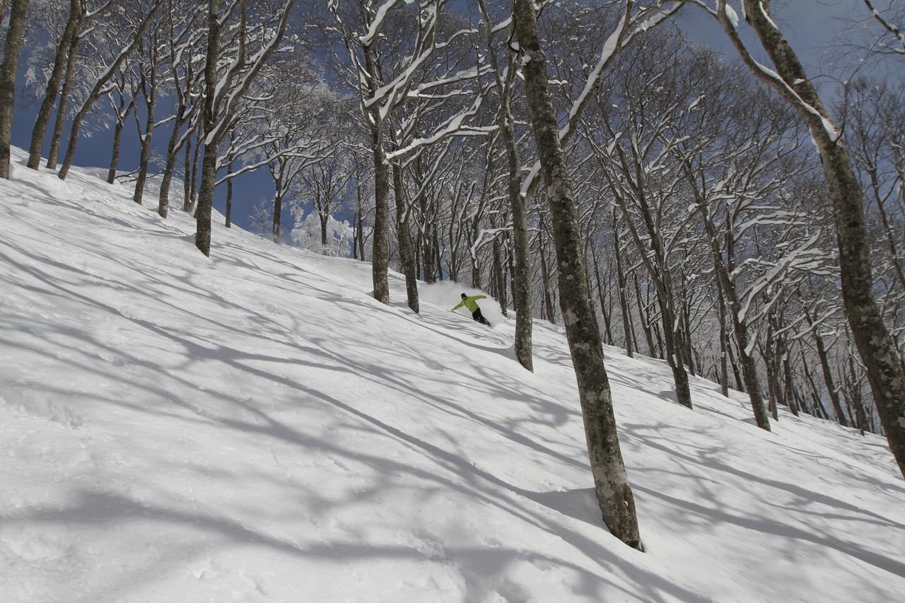 Hotel Powder Temple Hakuba Exterior foto
