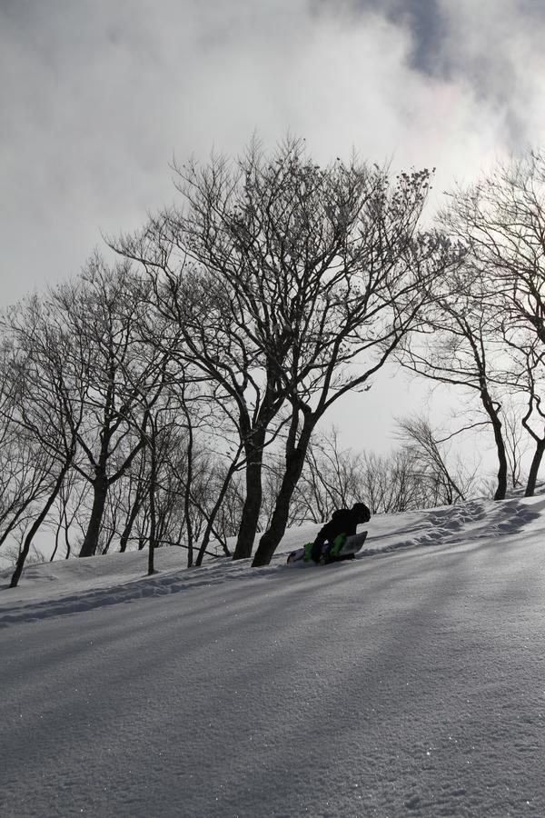 Hotel Powder Temple Hakuba Exterior foto